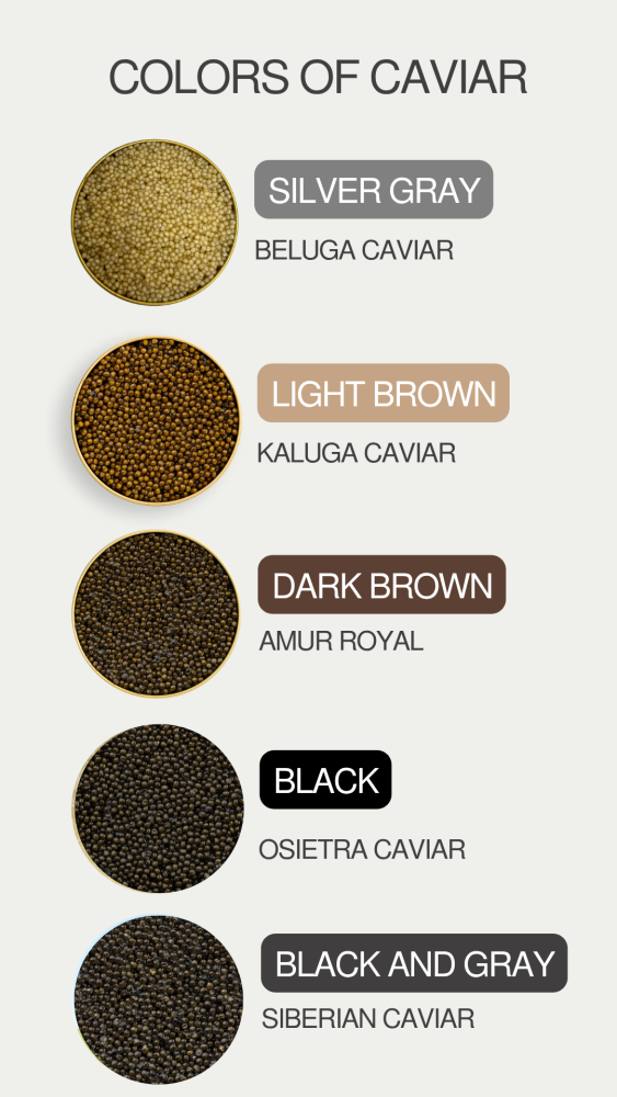 sturgeon caviar color