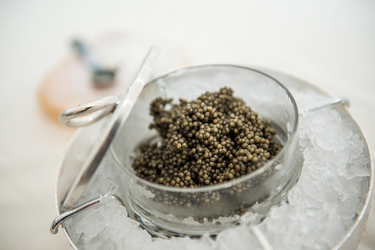 Beluga caviar: a full guide